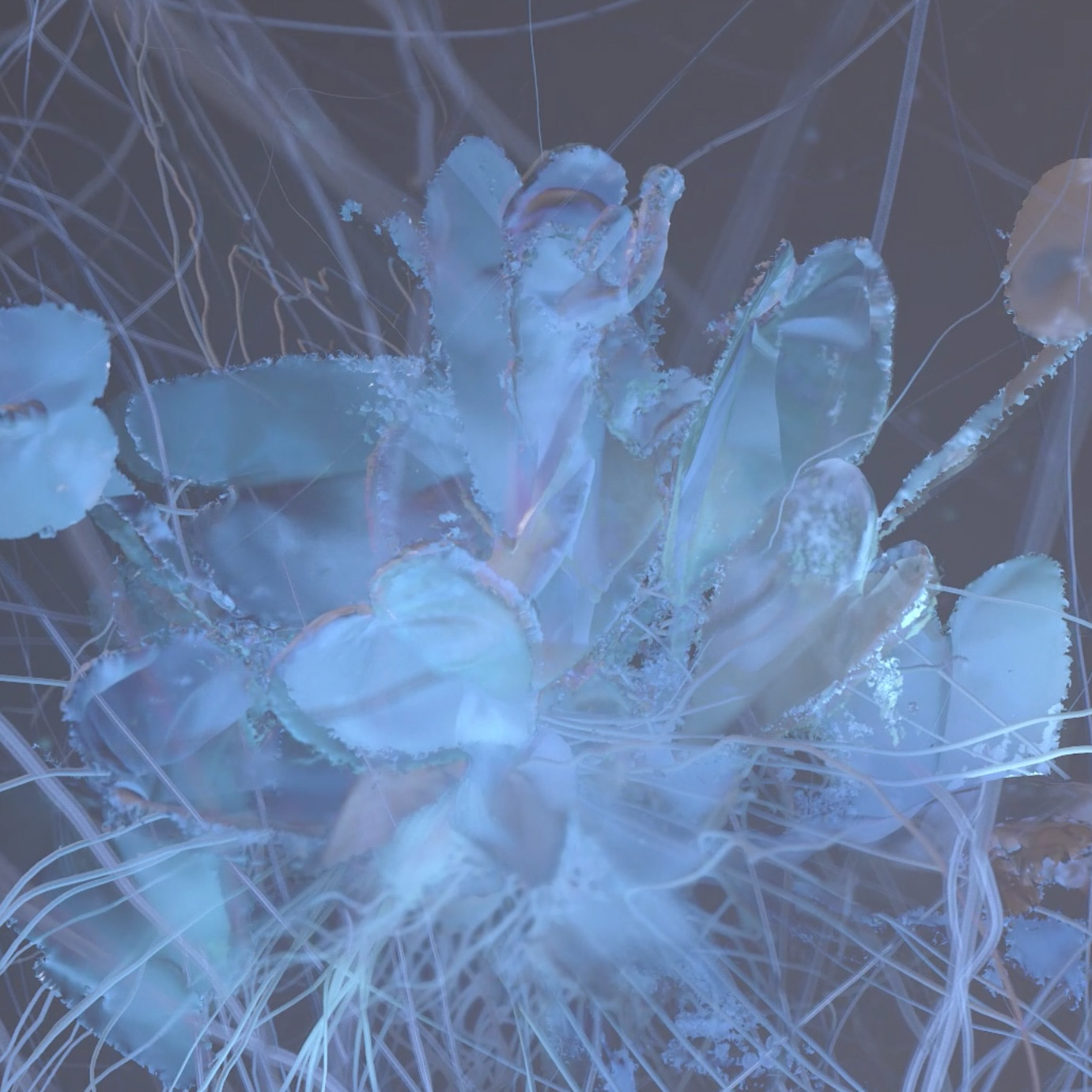 Stimming x Lambert - Detektei Lambert cover art