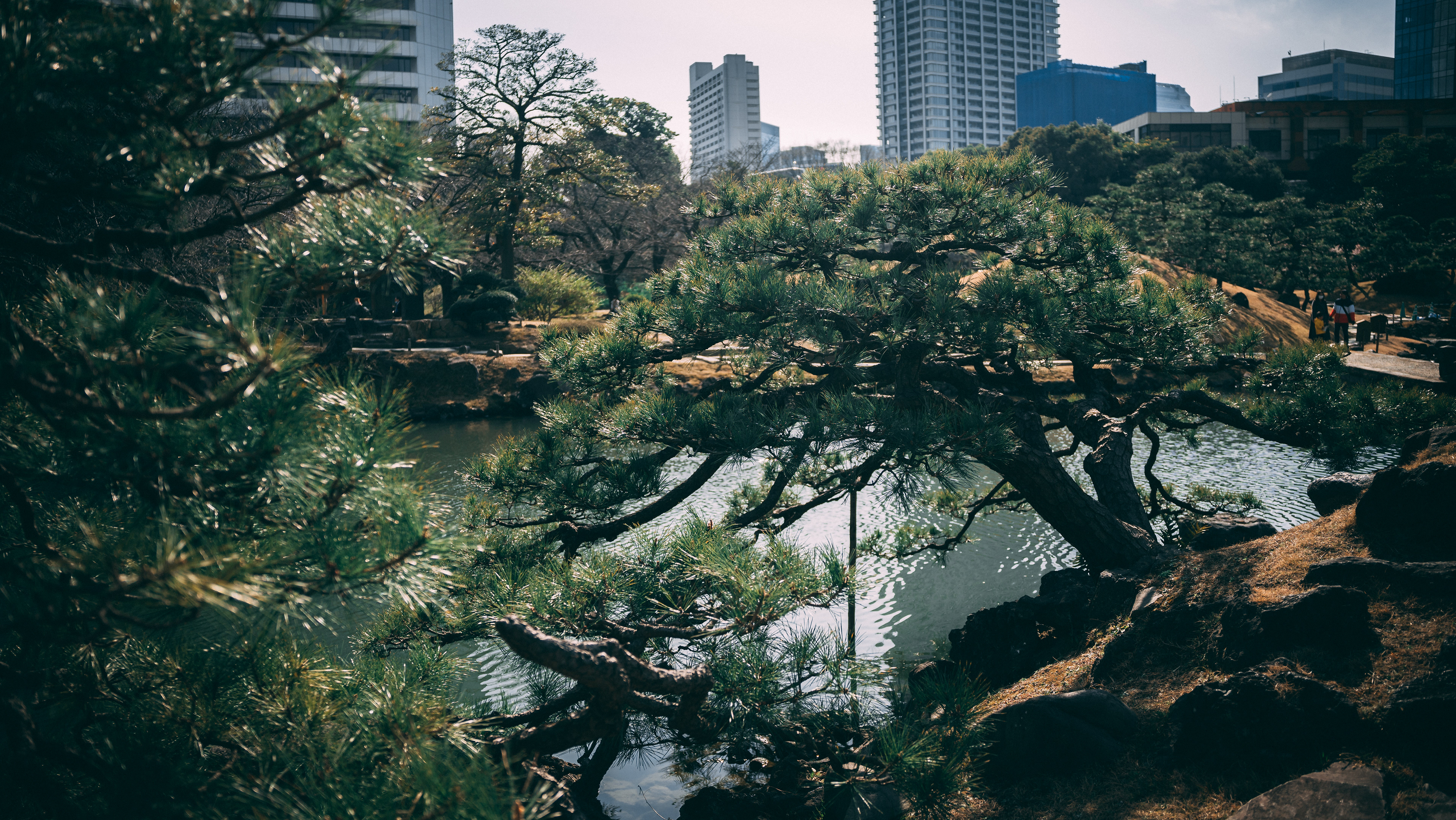 Tokyo March '23