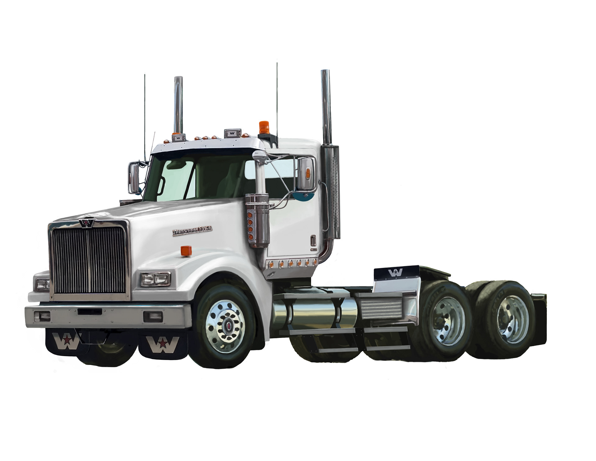 Illustrator + Photoshop