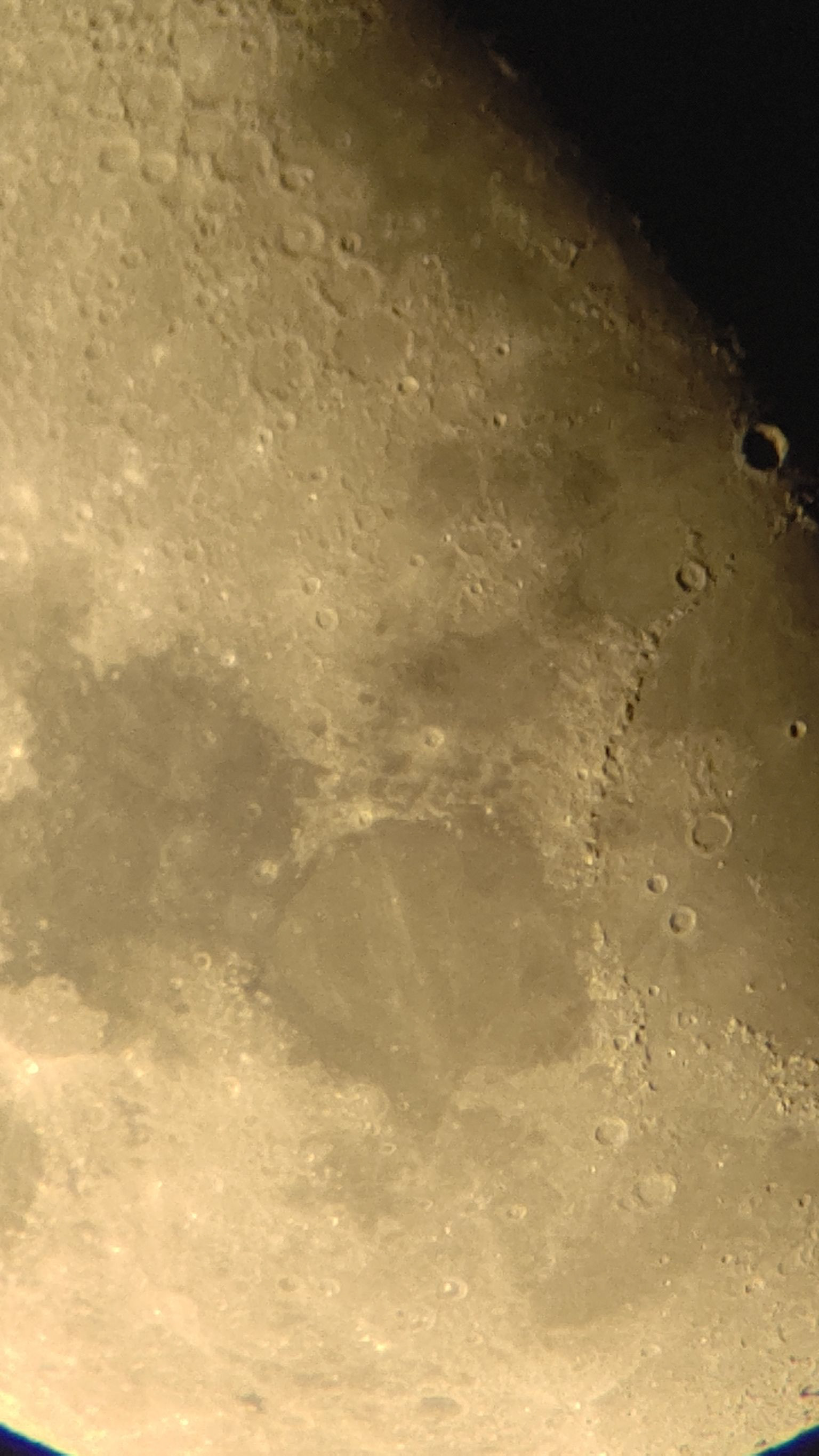 Moon (shio)