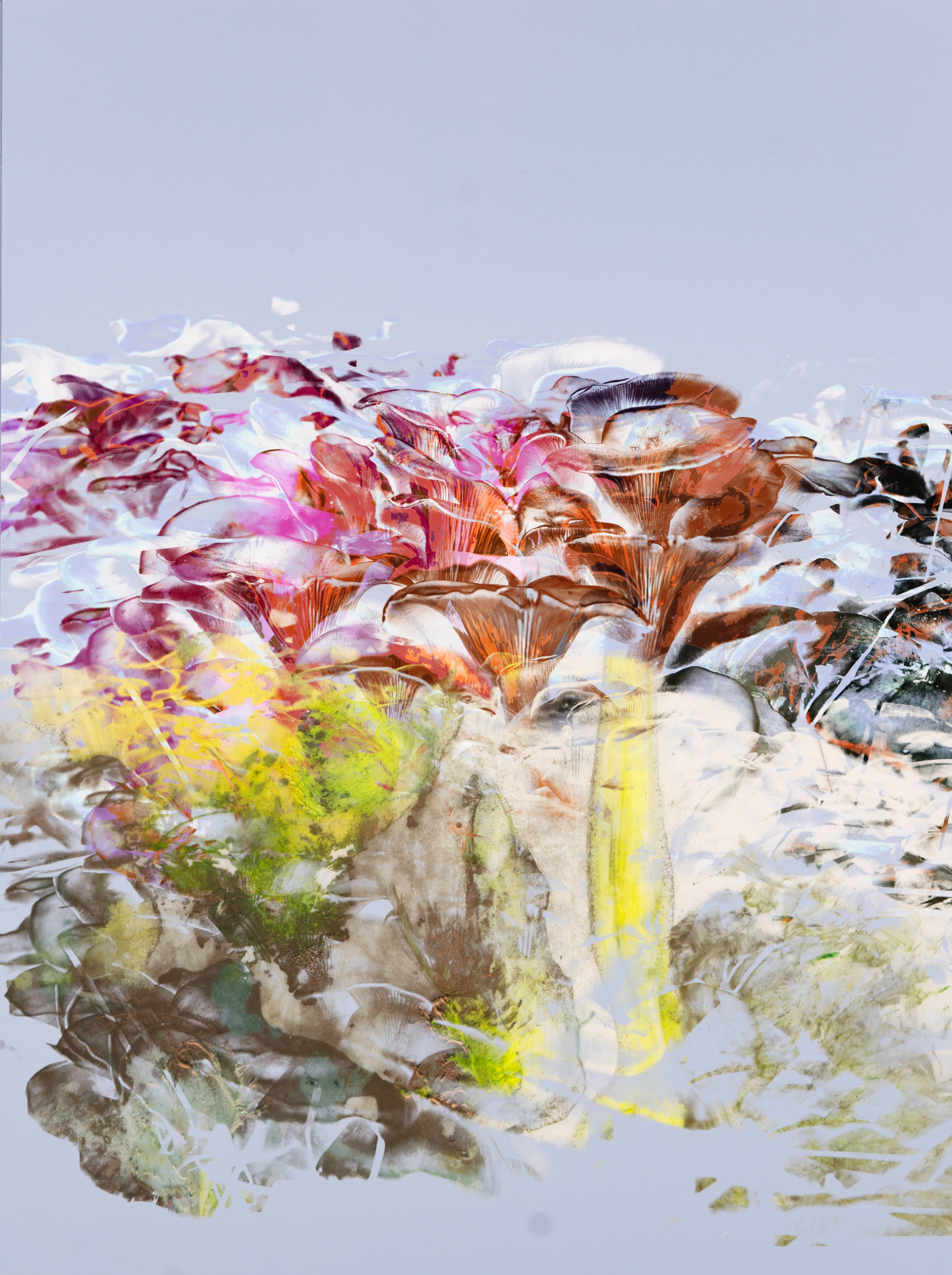 CCGH_01 18"x24". Digital collage printed with archival pigment on Hahnamuhle photo rag, ultra smooth. 1/5