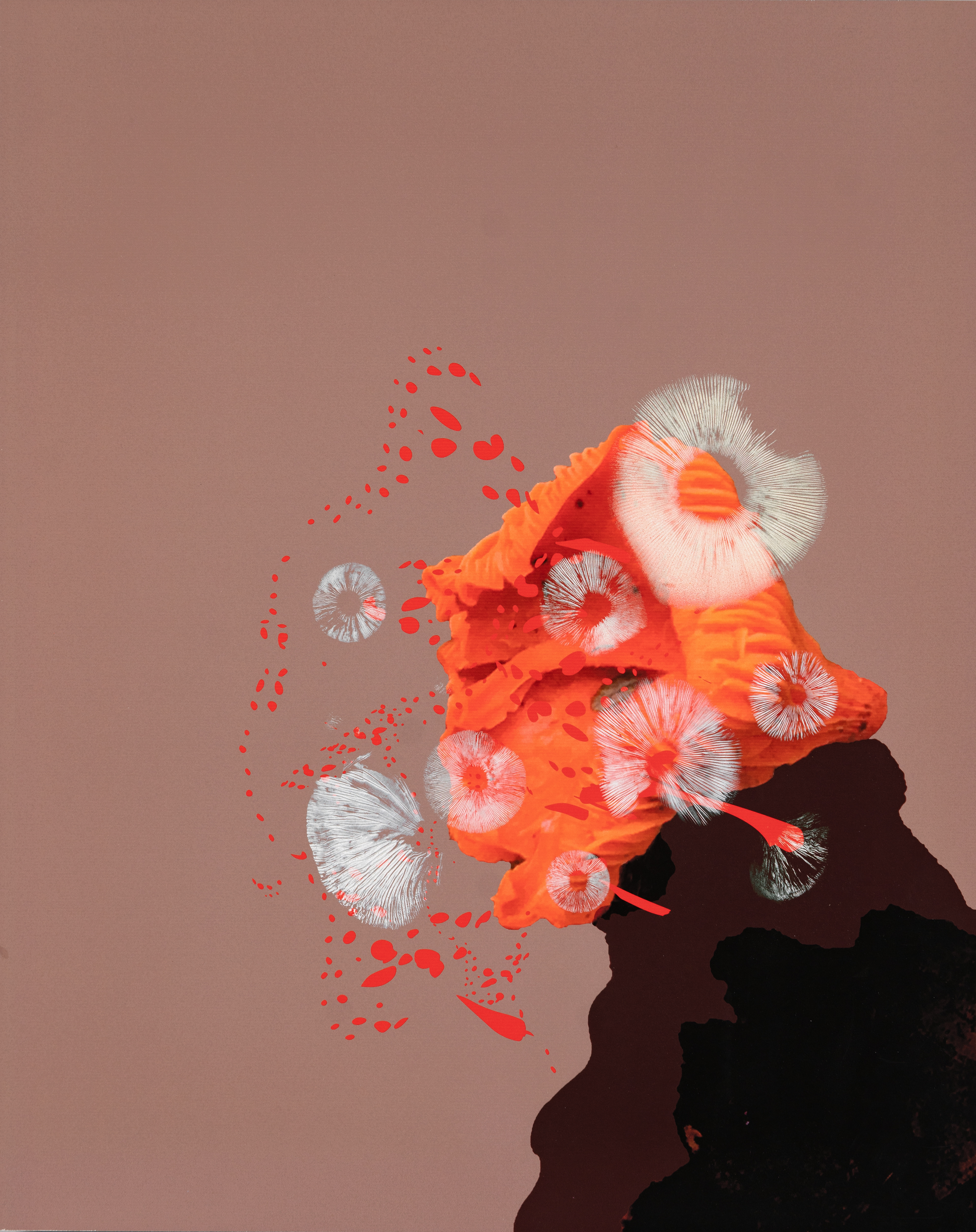 Digi-Shrooms. 16"x20". Digital collage printed with archival pigment on Hahnamuhle photo rag, ultra smooth. 1/5