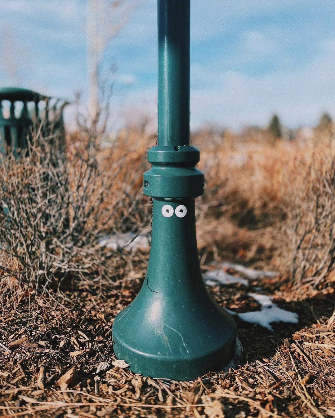 This is Sloane Lampman.