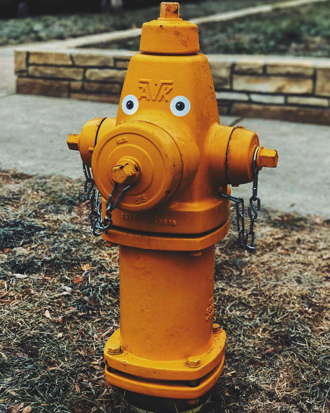 This is Arnold Von Klauss.