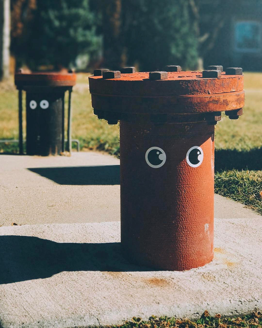 This is Lloyd and Harry.