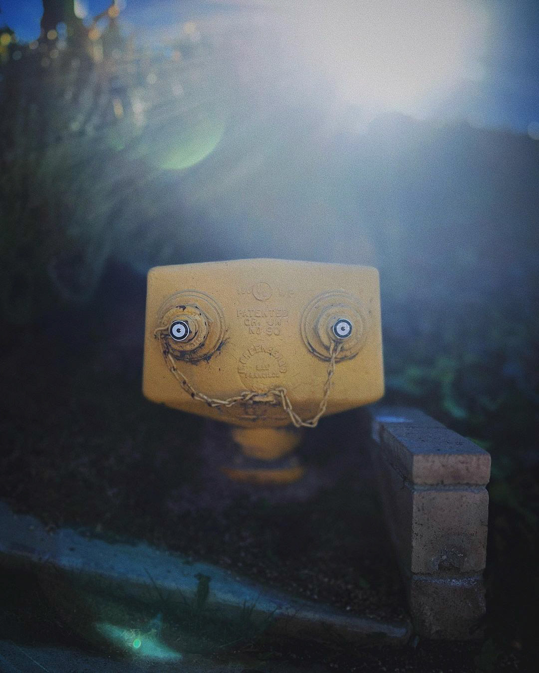 This is Mister Mustachio.