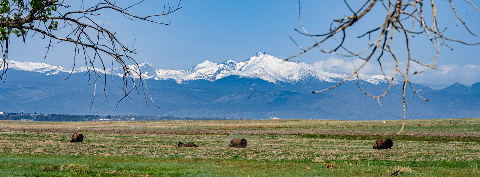 Rocky Mountain Arsenal
