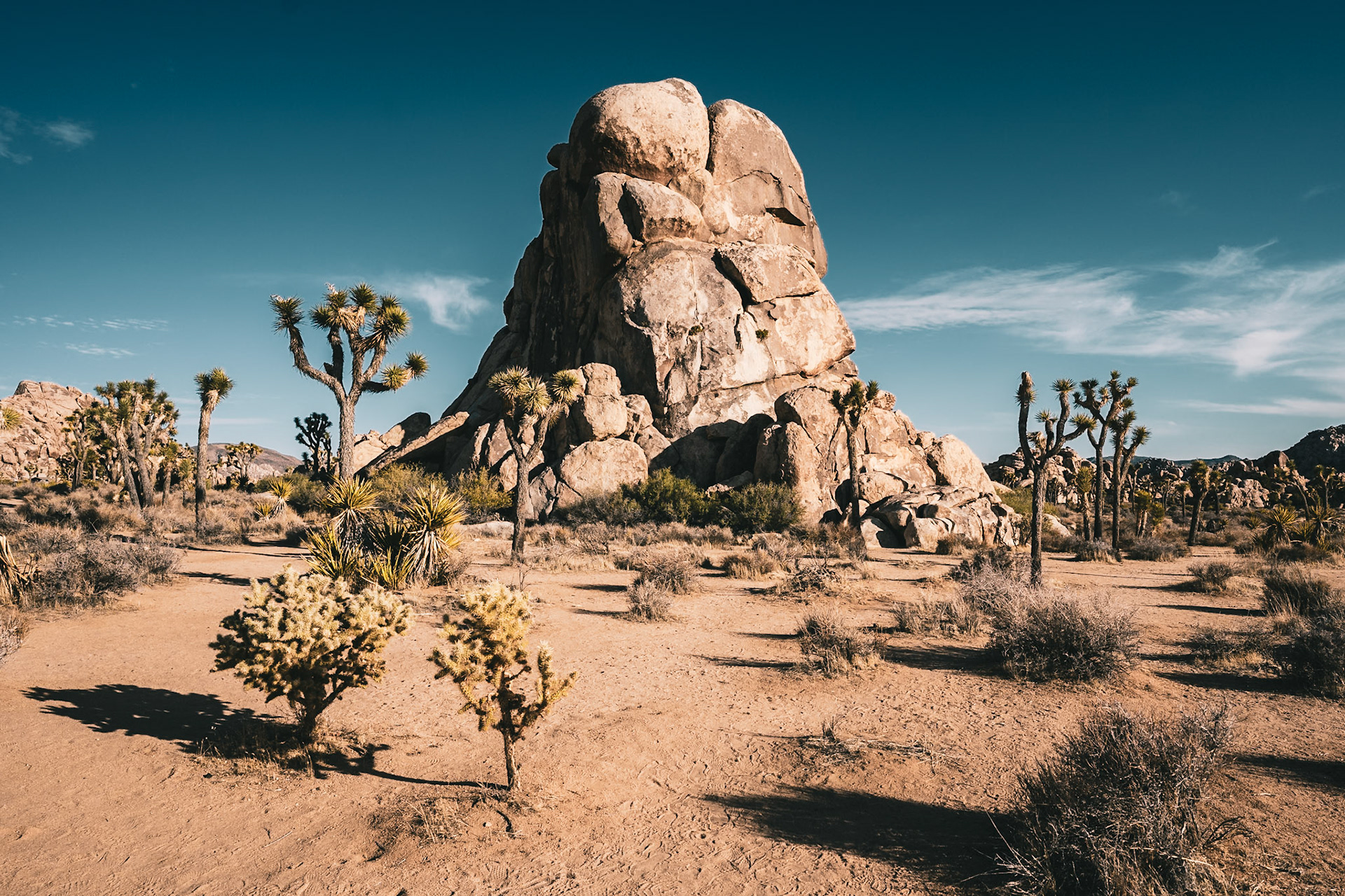 Joshua Tree NP