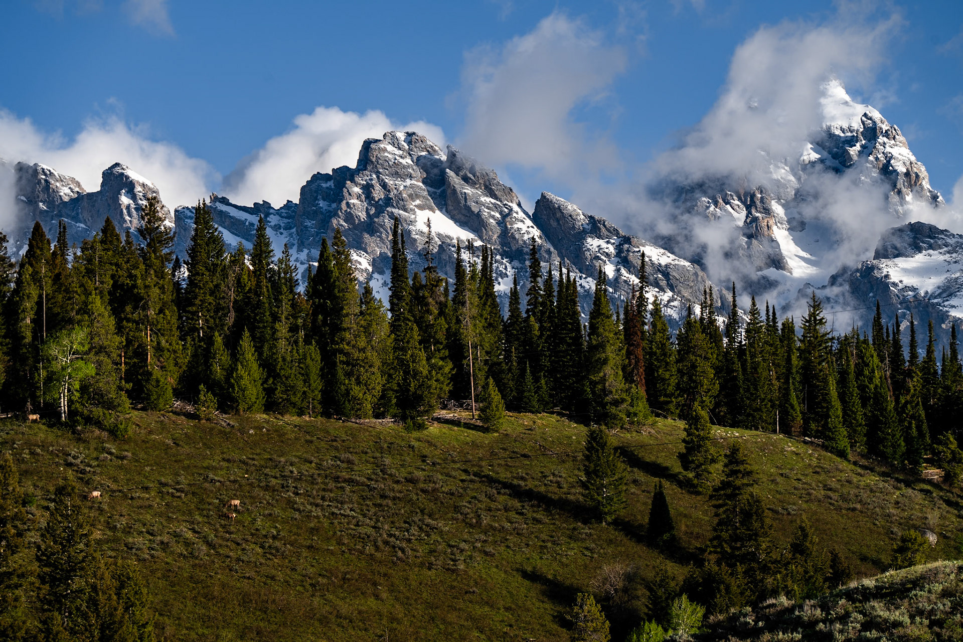 Grand Teton NP