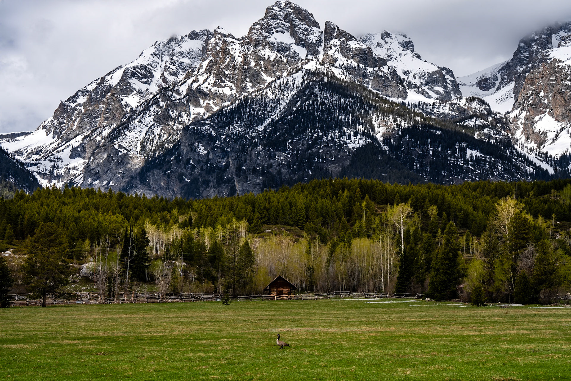 Grand Teton NP
