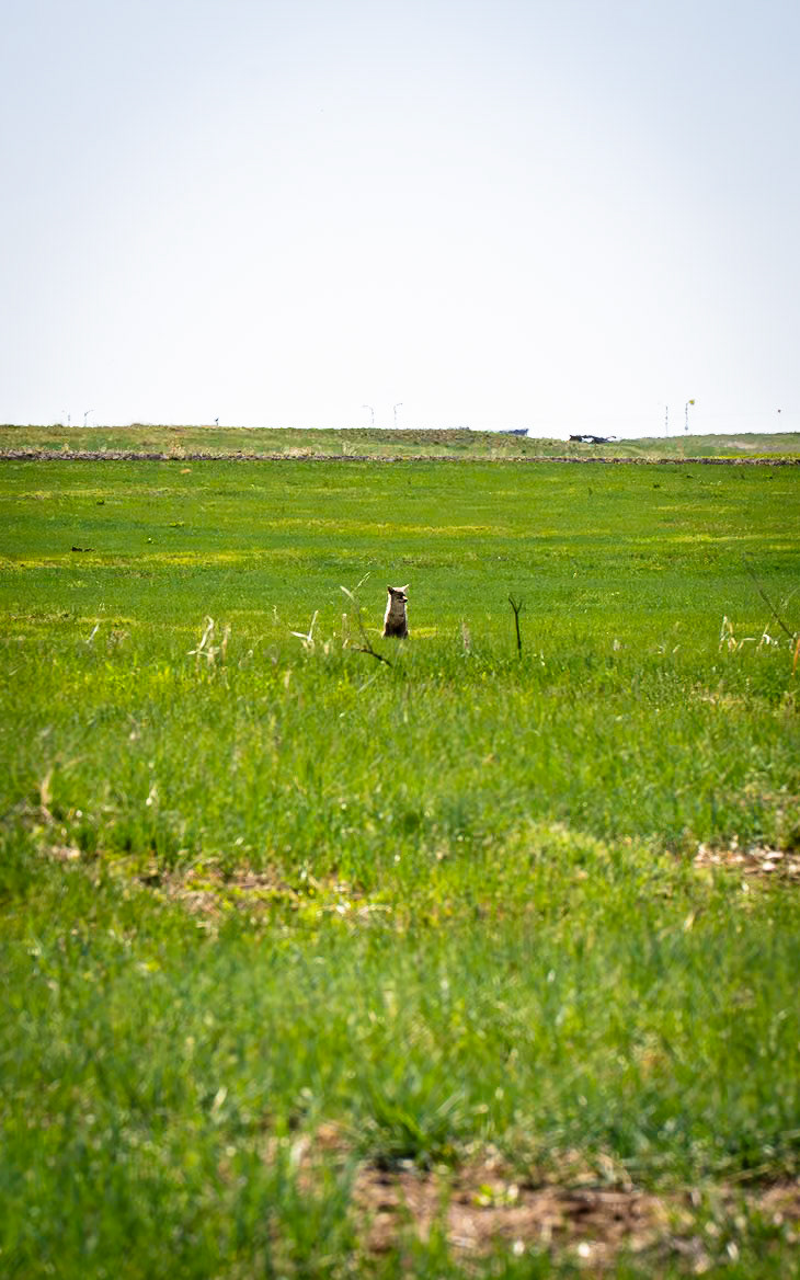 Rocky Mountain Arsenal