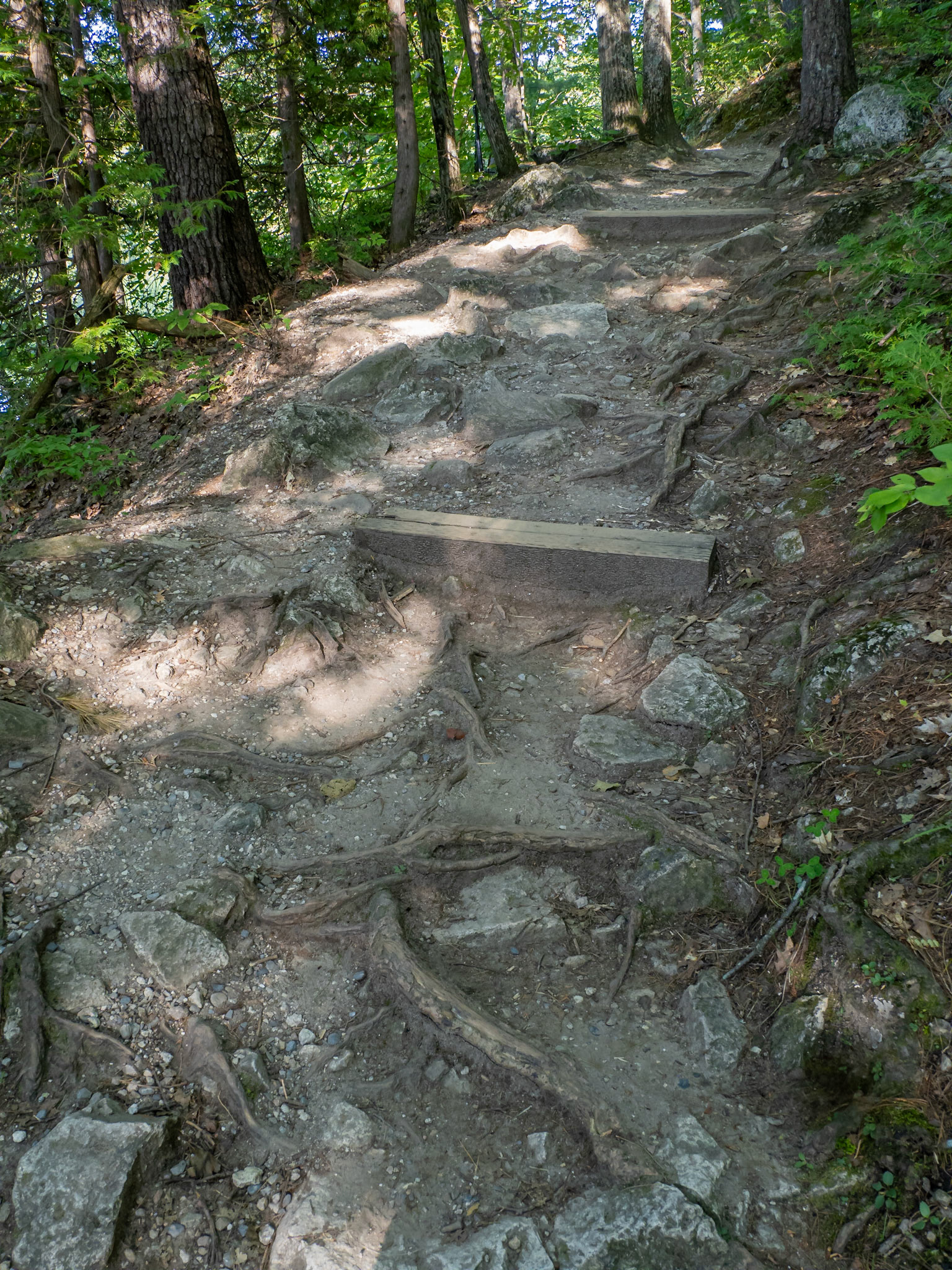 Rocky pathway