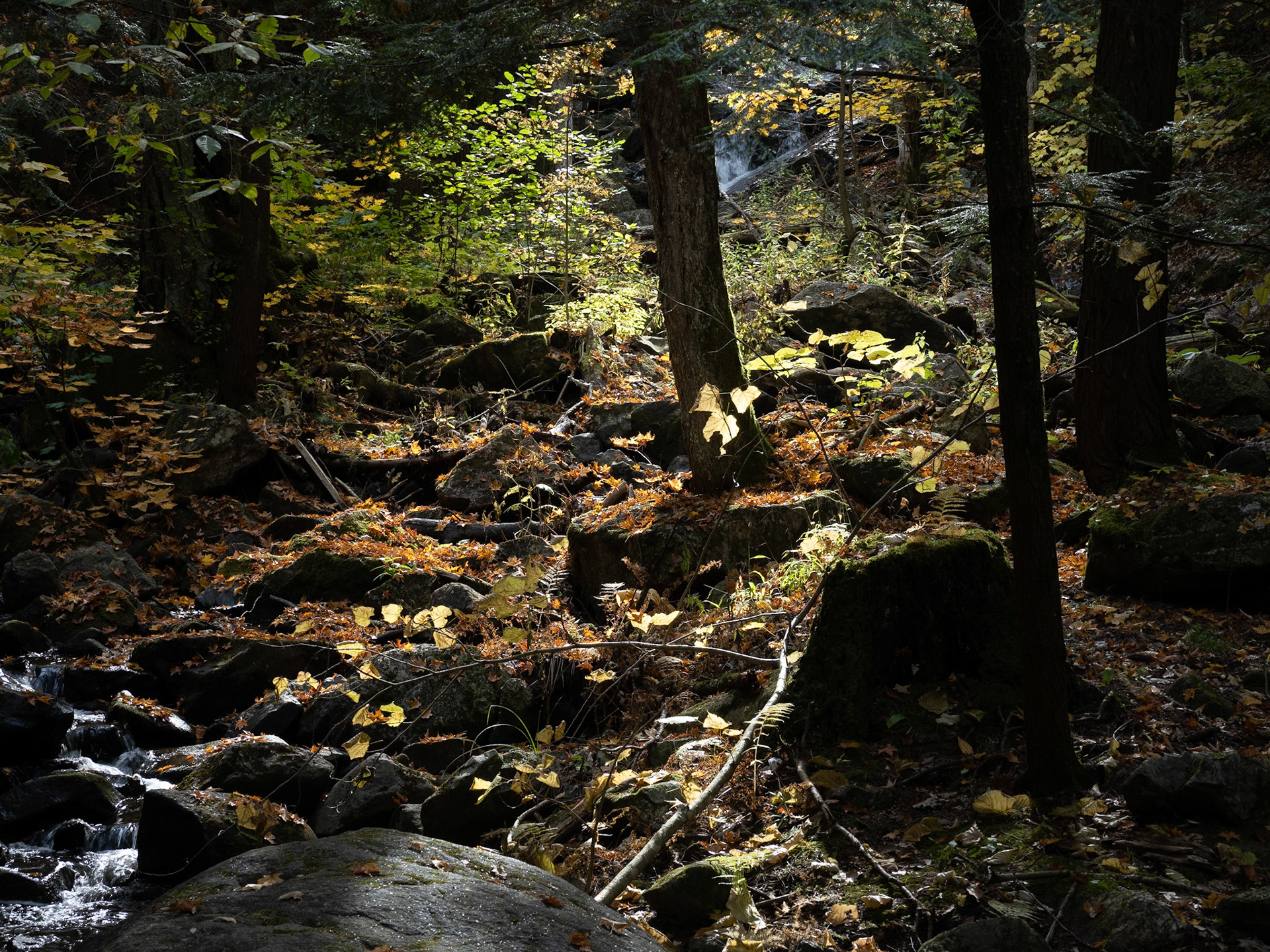 Streaming sunlight