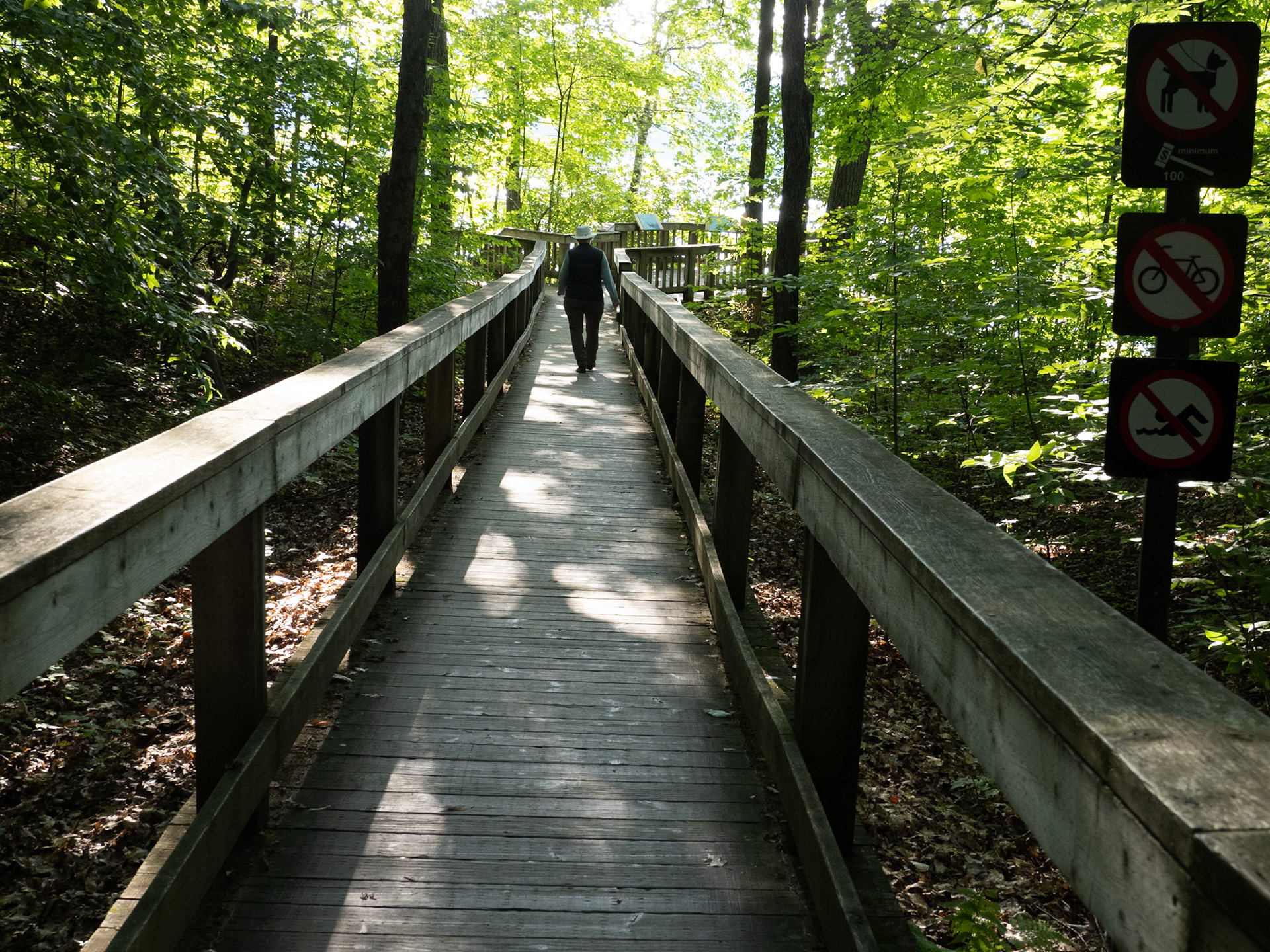 Railed boardwalks