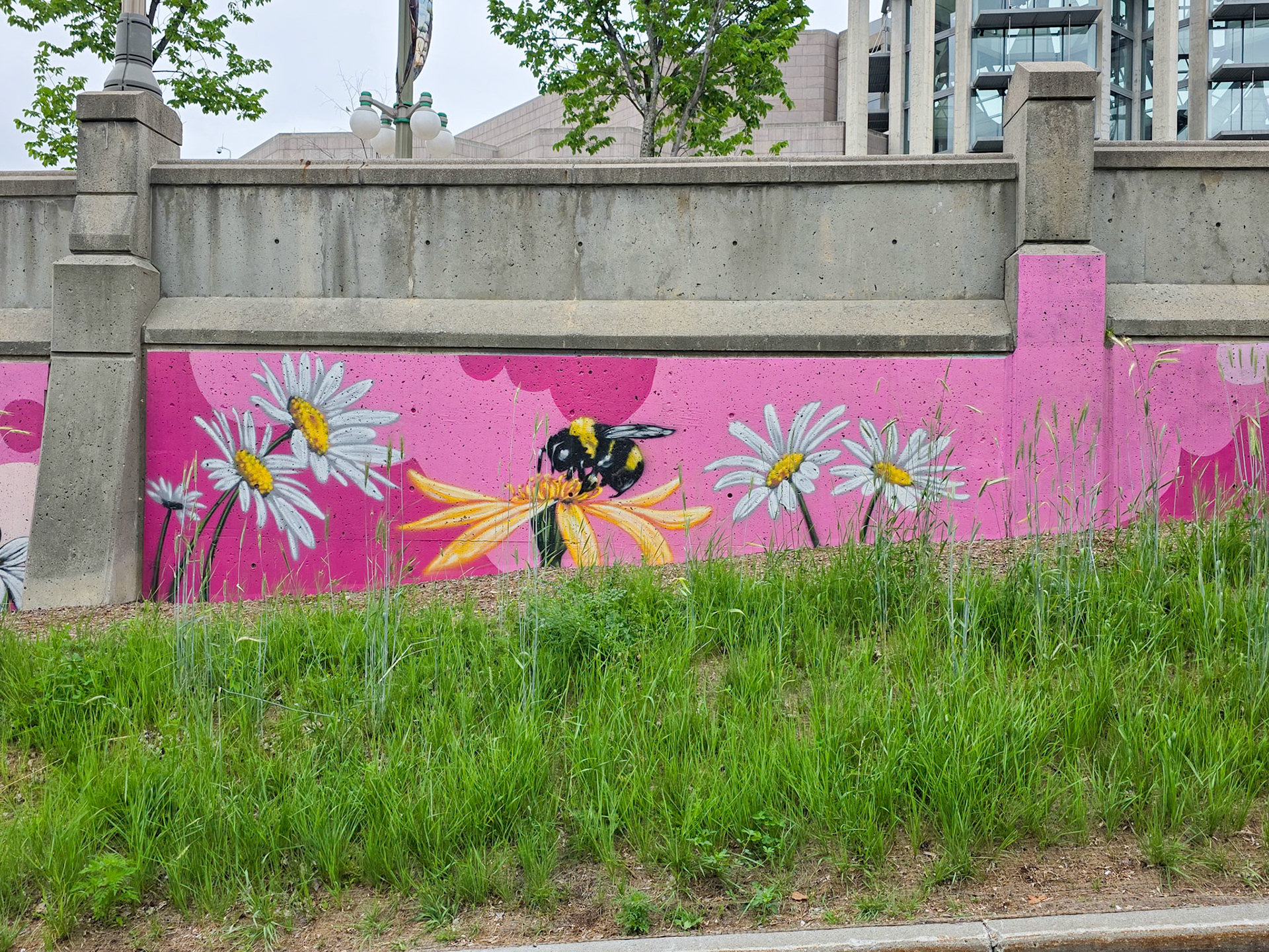 Major Hill Park