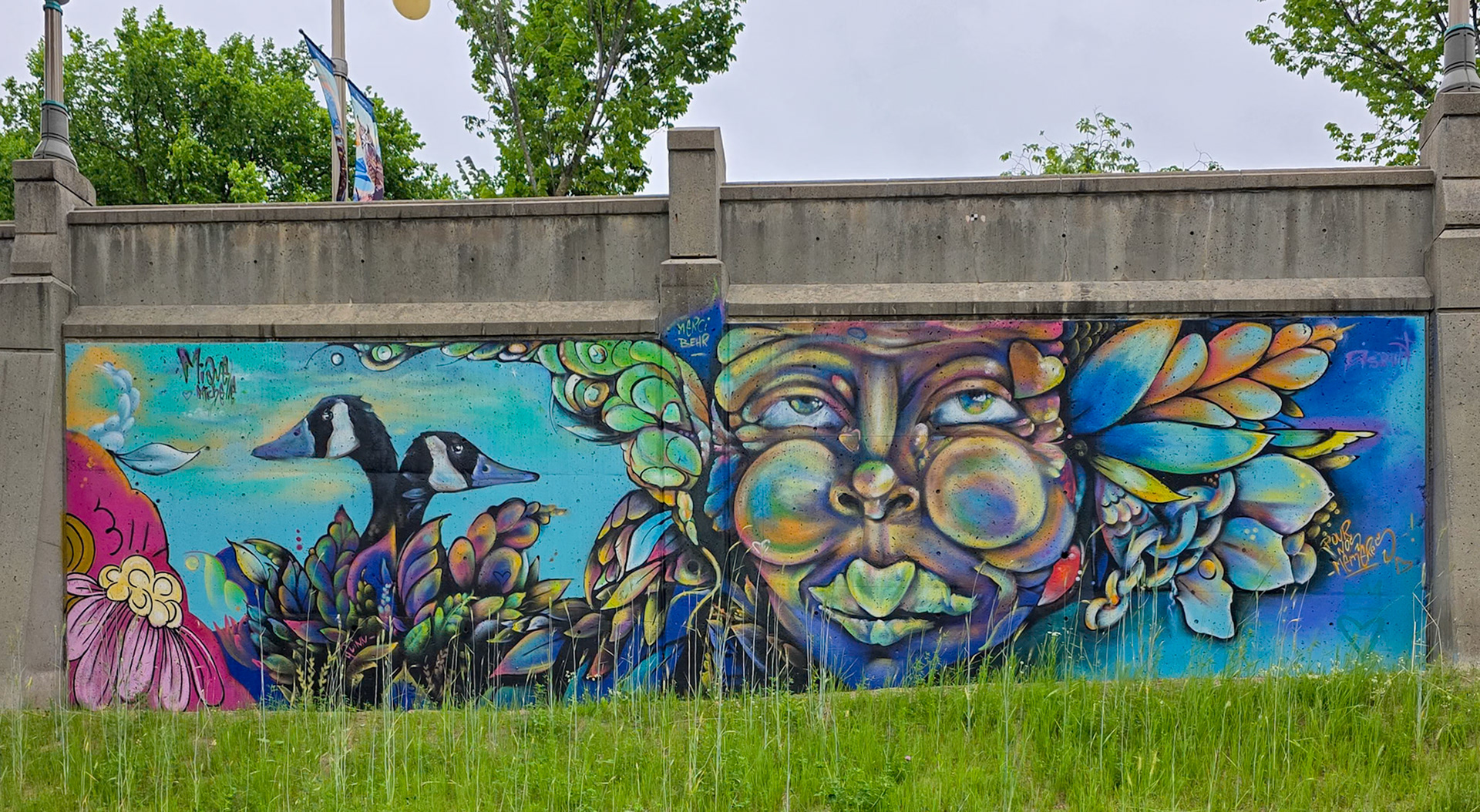 Major Hill Park