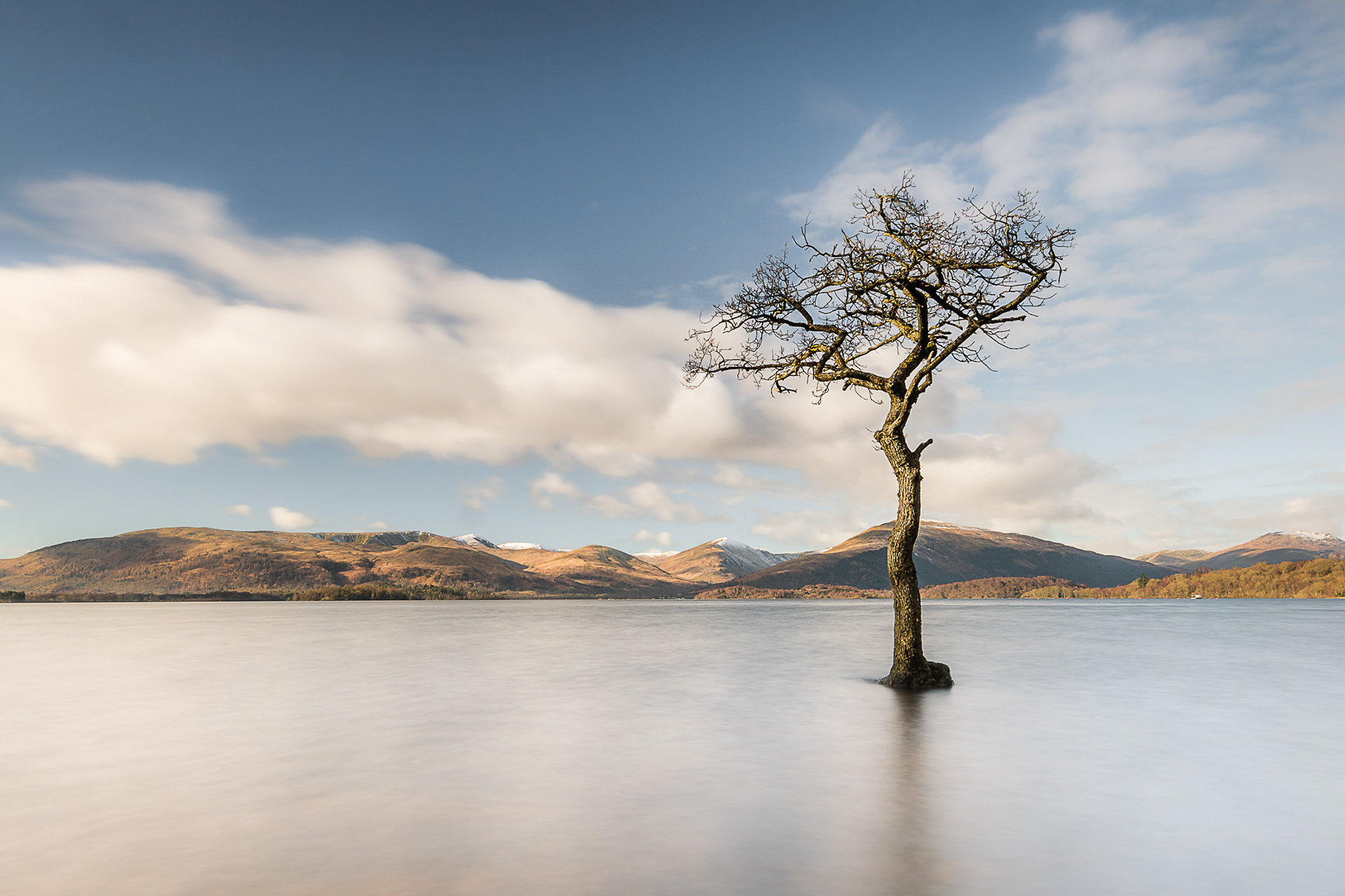 Scotland photo landscape photography Loch Lomond Tree