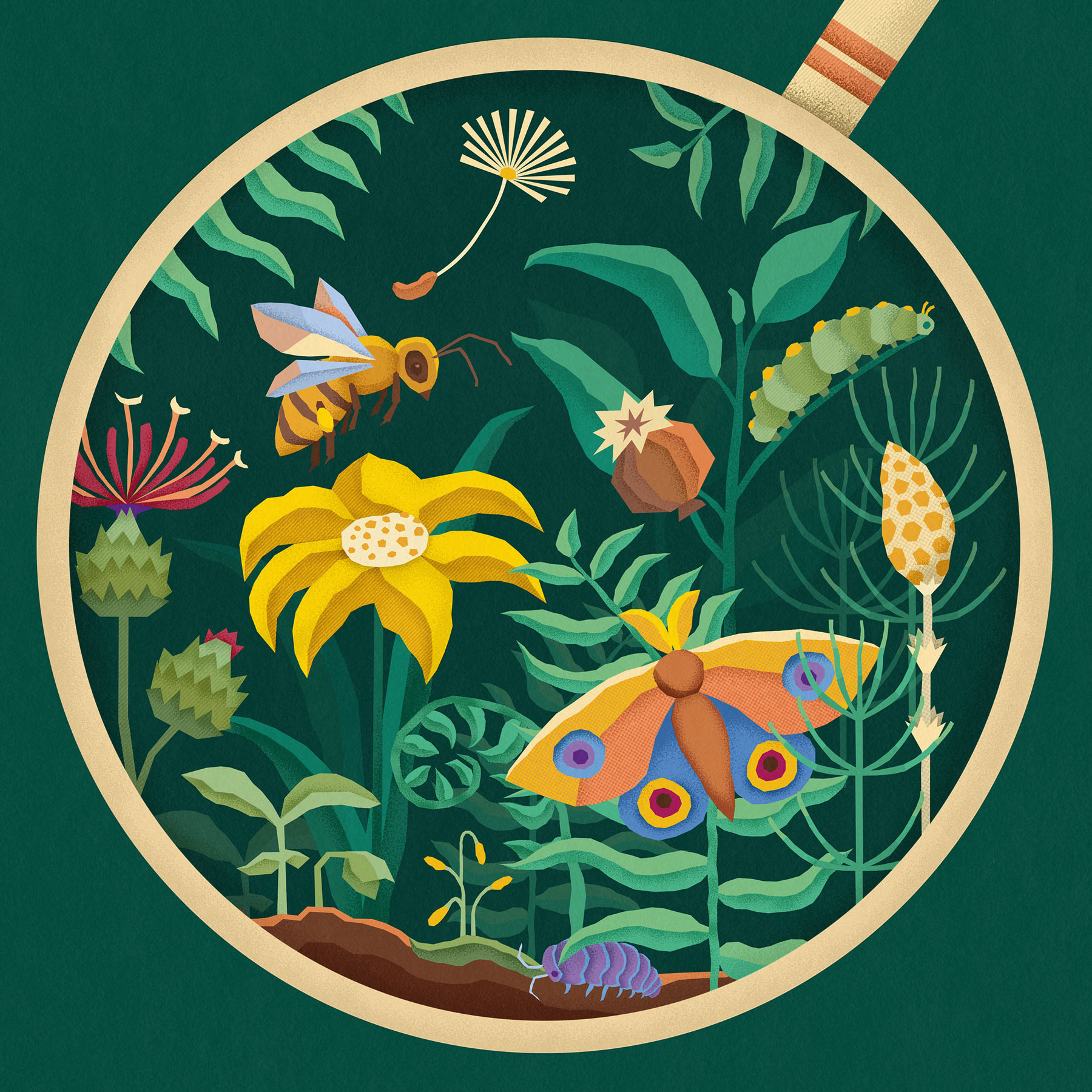Tuinlab illustratie Botanische Tuinen Utrecht