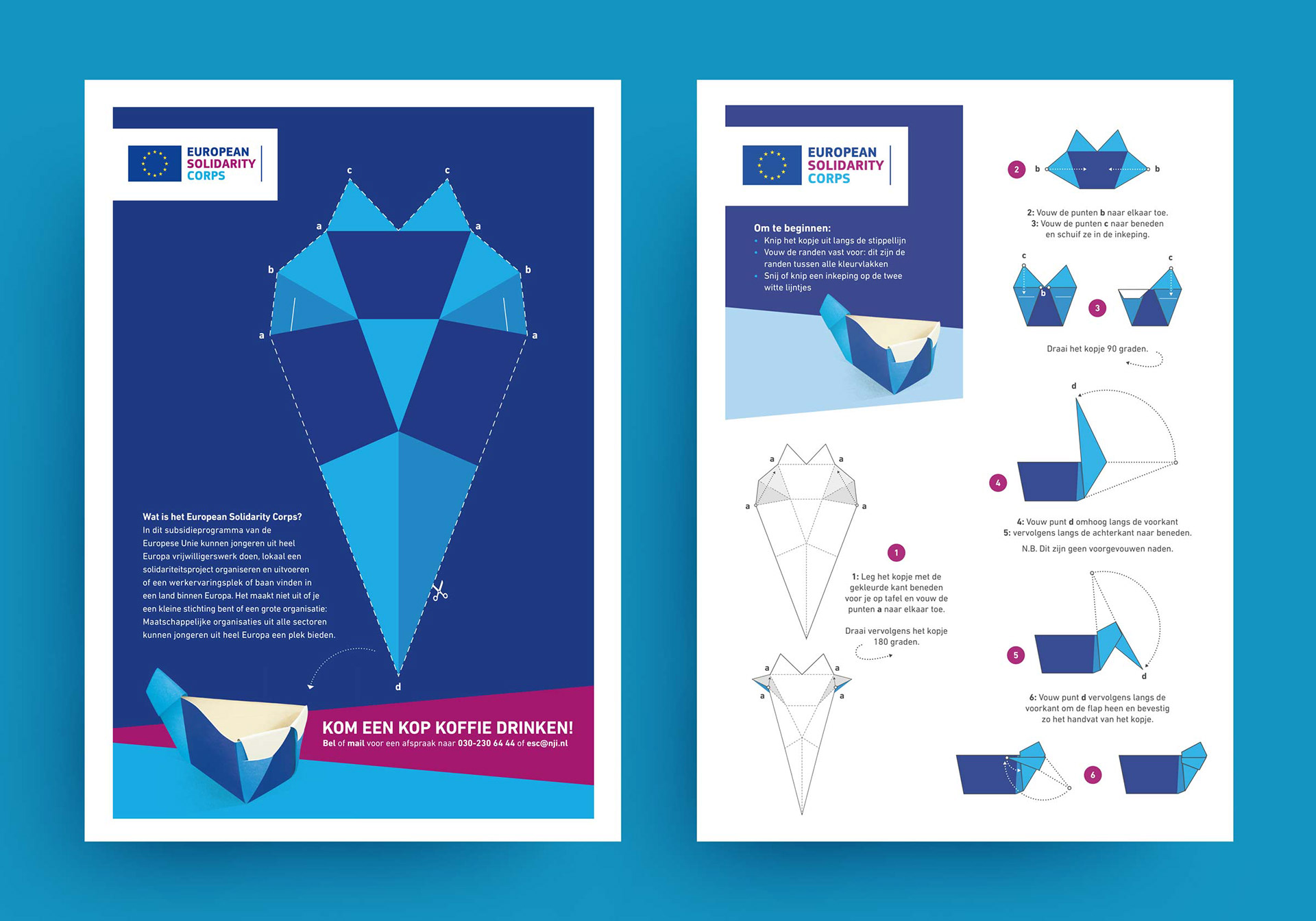 Campagne | grafisch ontwerp-illustratie-infographic