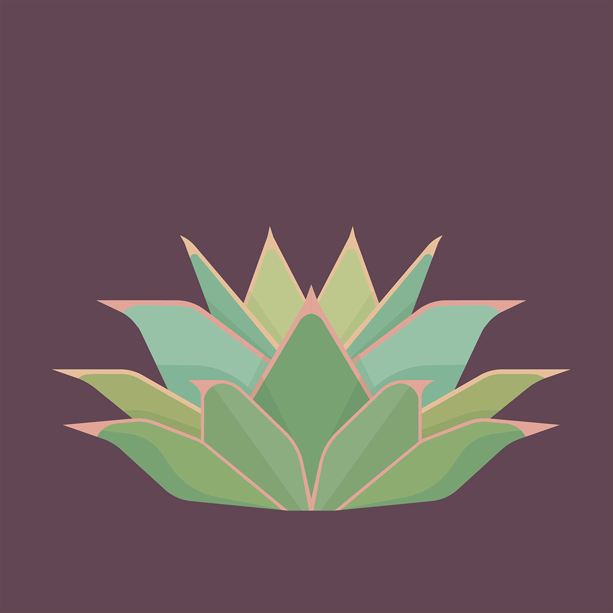 Aloe striata (blouaalwyn)