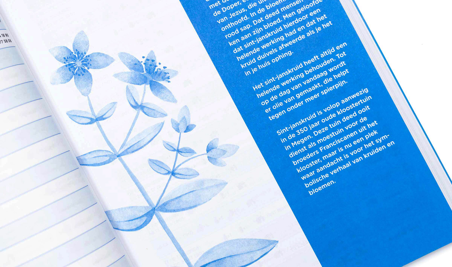 Illustratie - Vrienden op de Fiets - aquarel