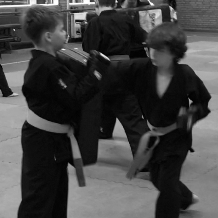 impact training