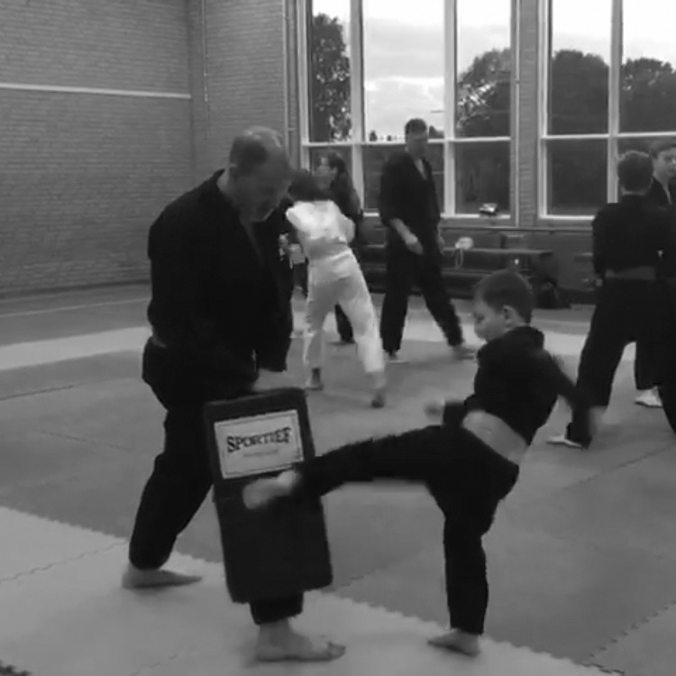 impact training