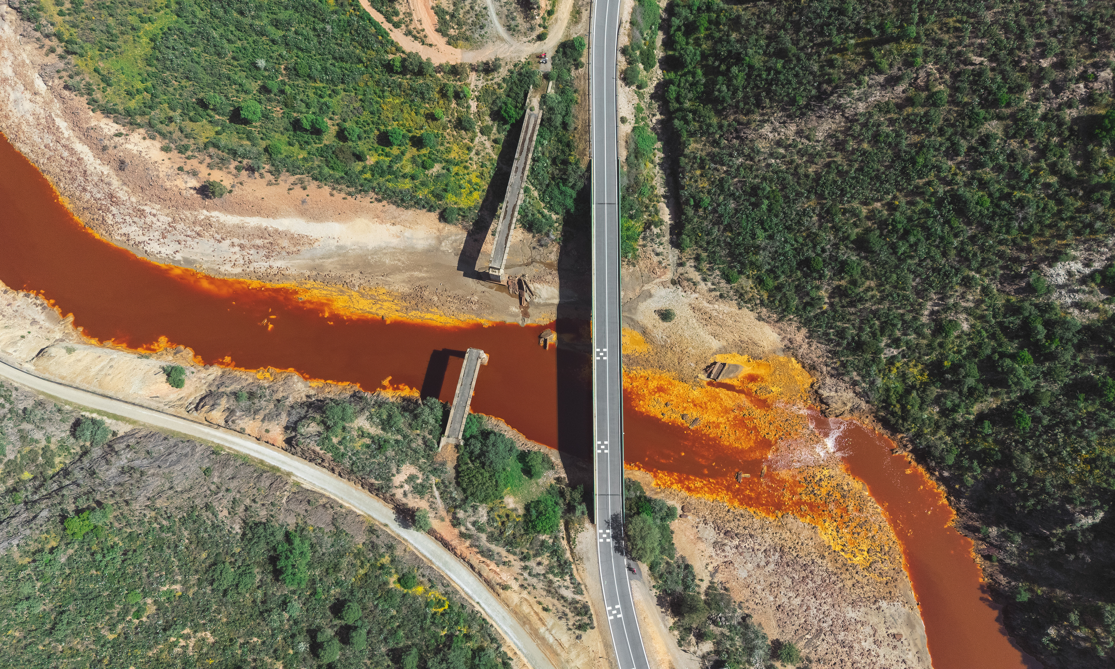 La Sangre de la Tierra