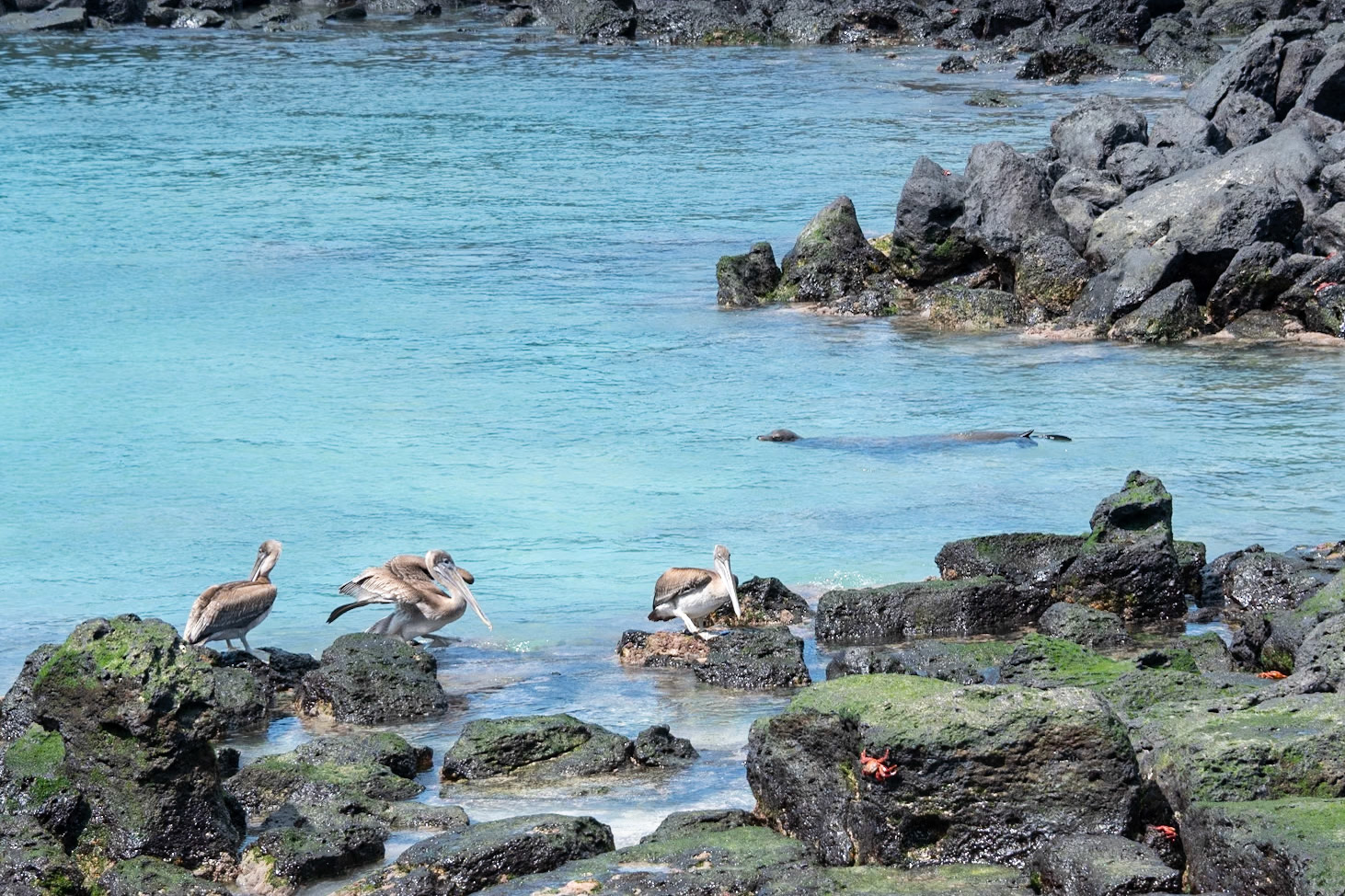 So much wildlife right in front of the hotel.