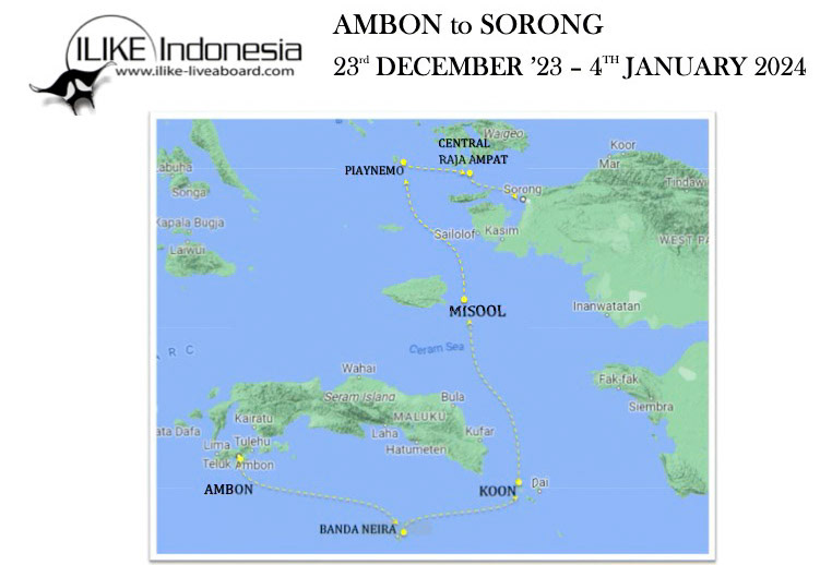 This map shows the route of the trip.