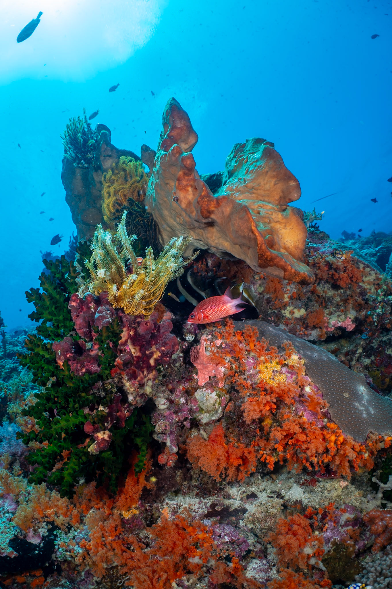 A colorful seascape in the Banda Sea.