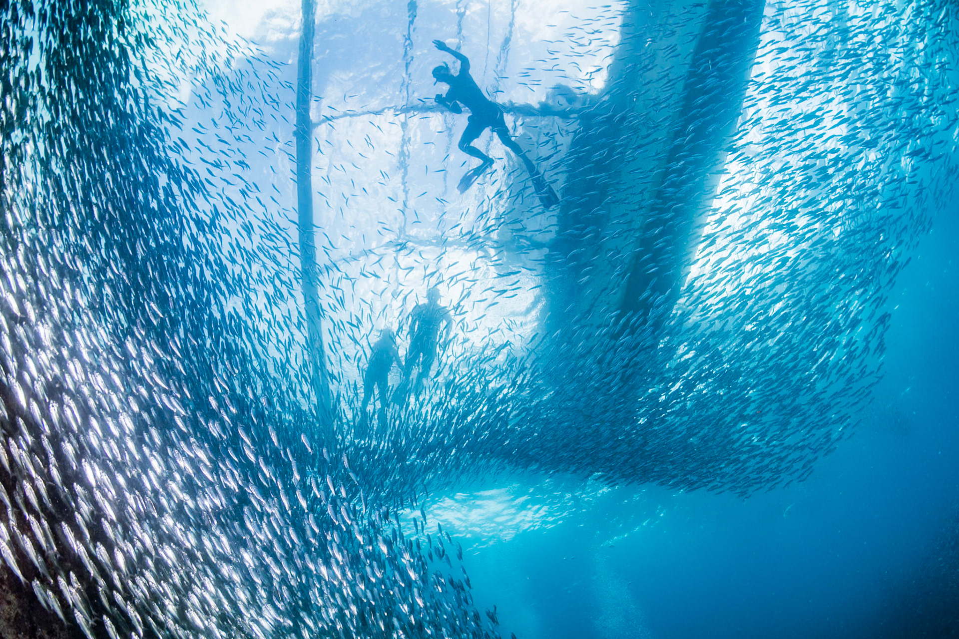 Kids swimming in a large school of fish in Moalboal, Philippines. December 2019