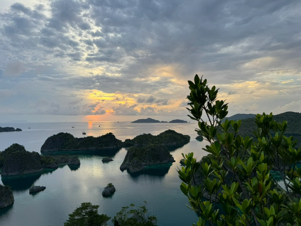 The classic Raja Ampat photo and pictures on their currency.