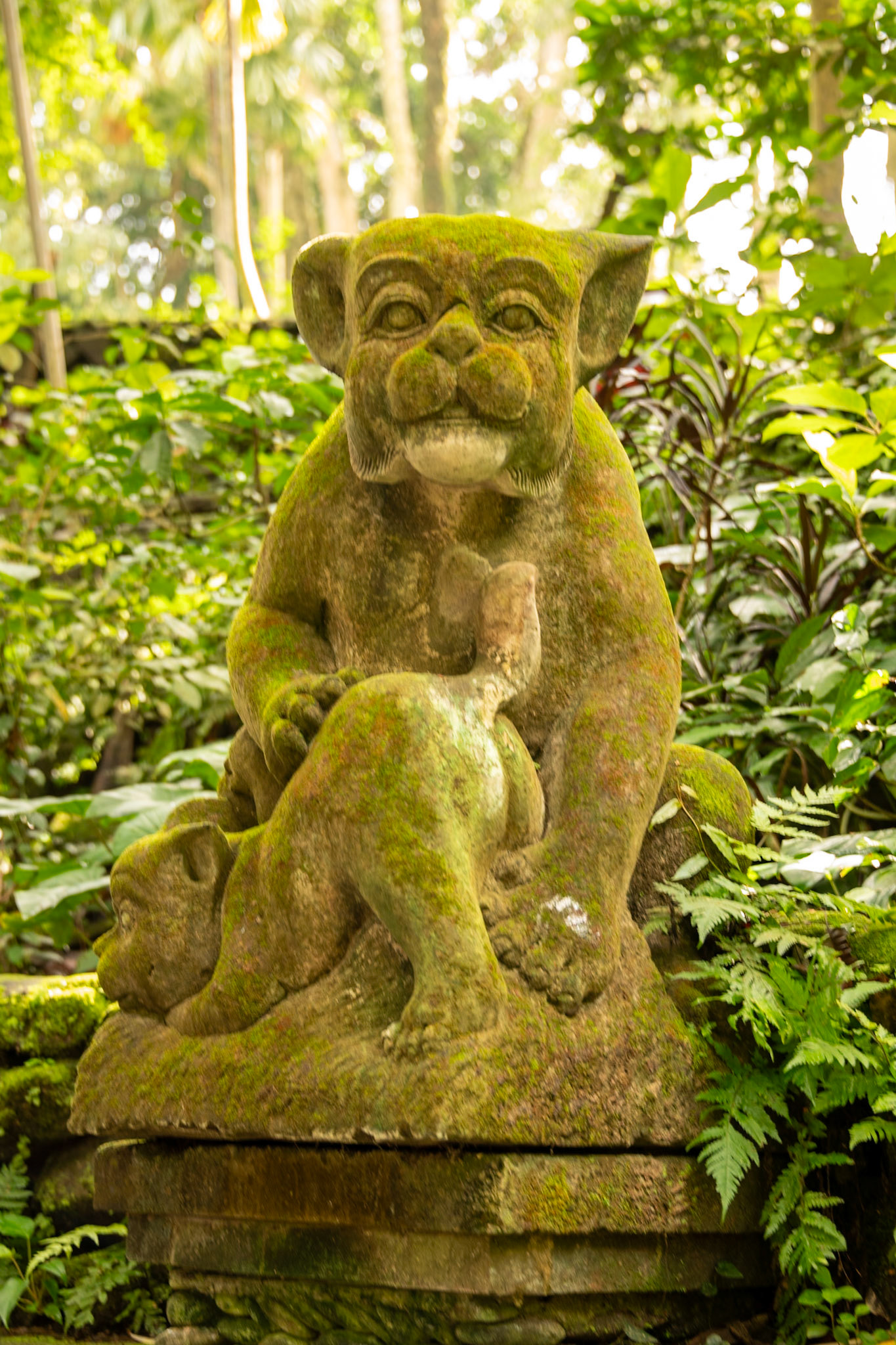 at the Sacred Monkey Forest Sanctuary.