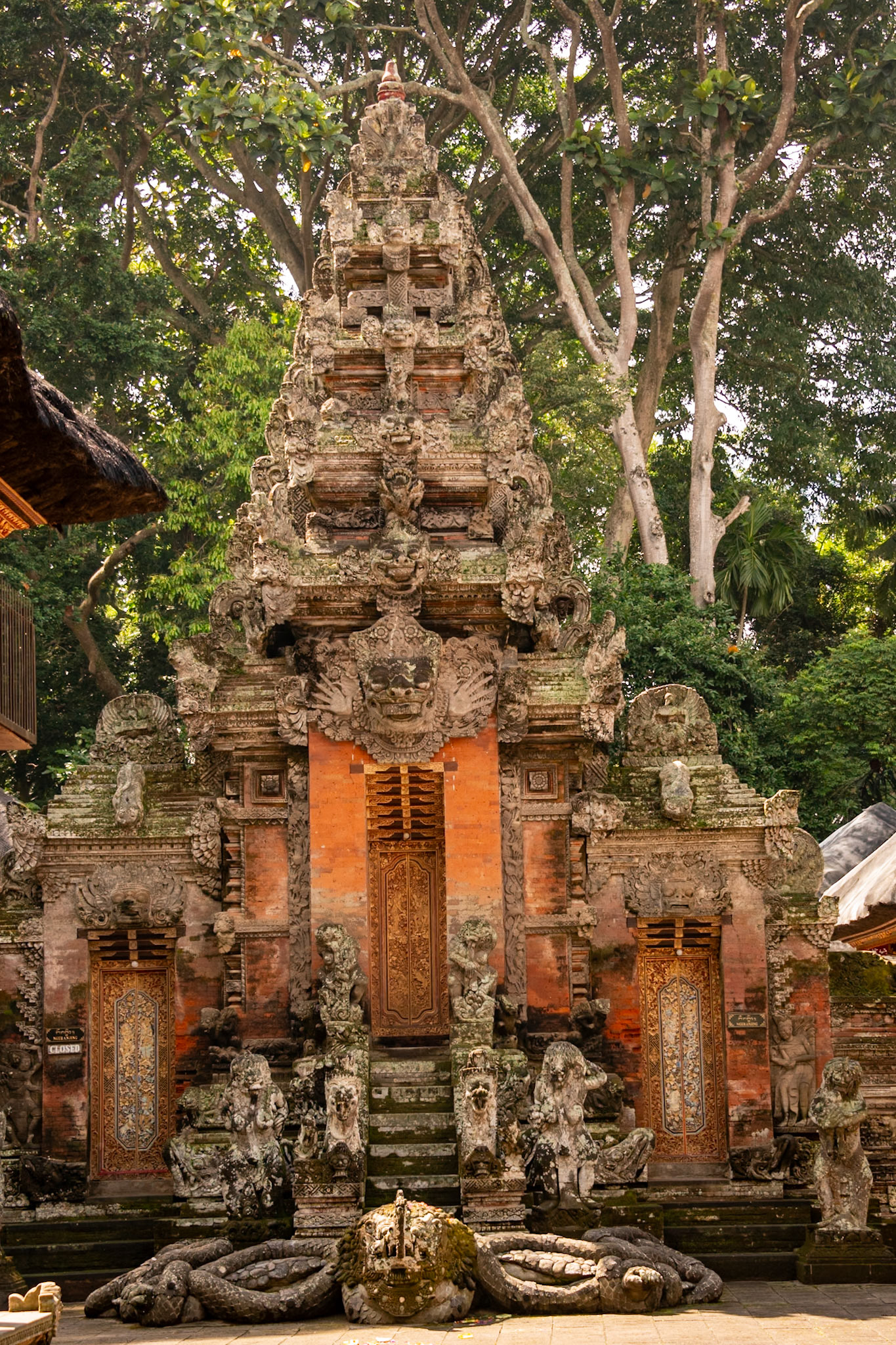 at the Sacred Monkey Forest Sanctuary.