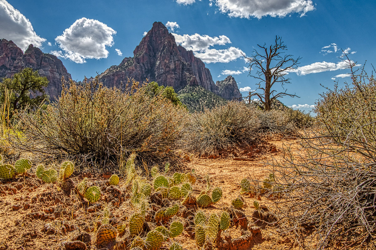 The Watchman, Zion NP