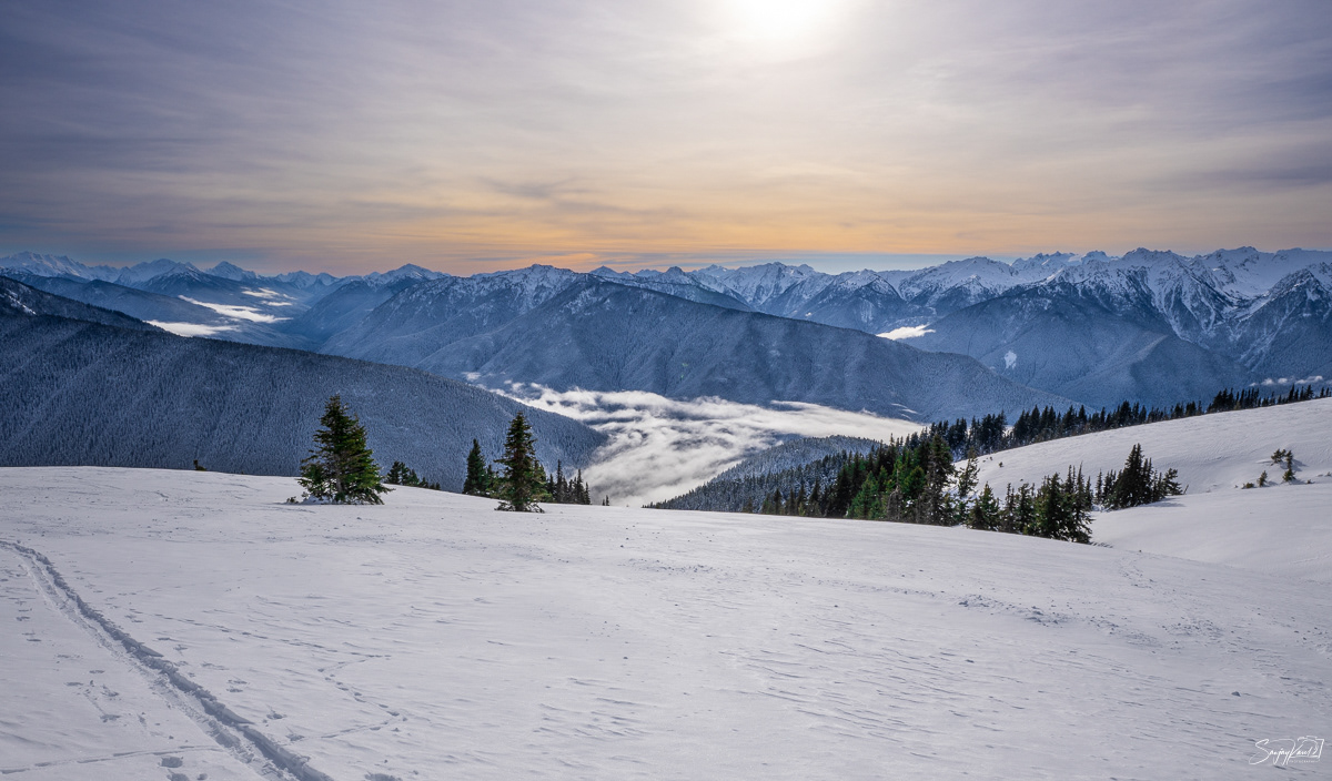 View from Hurricane Ridge, Olympic National Park
