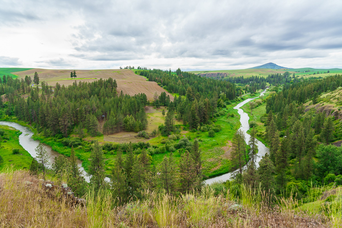 Windy River, Palouse, WA
