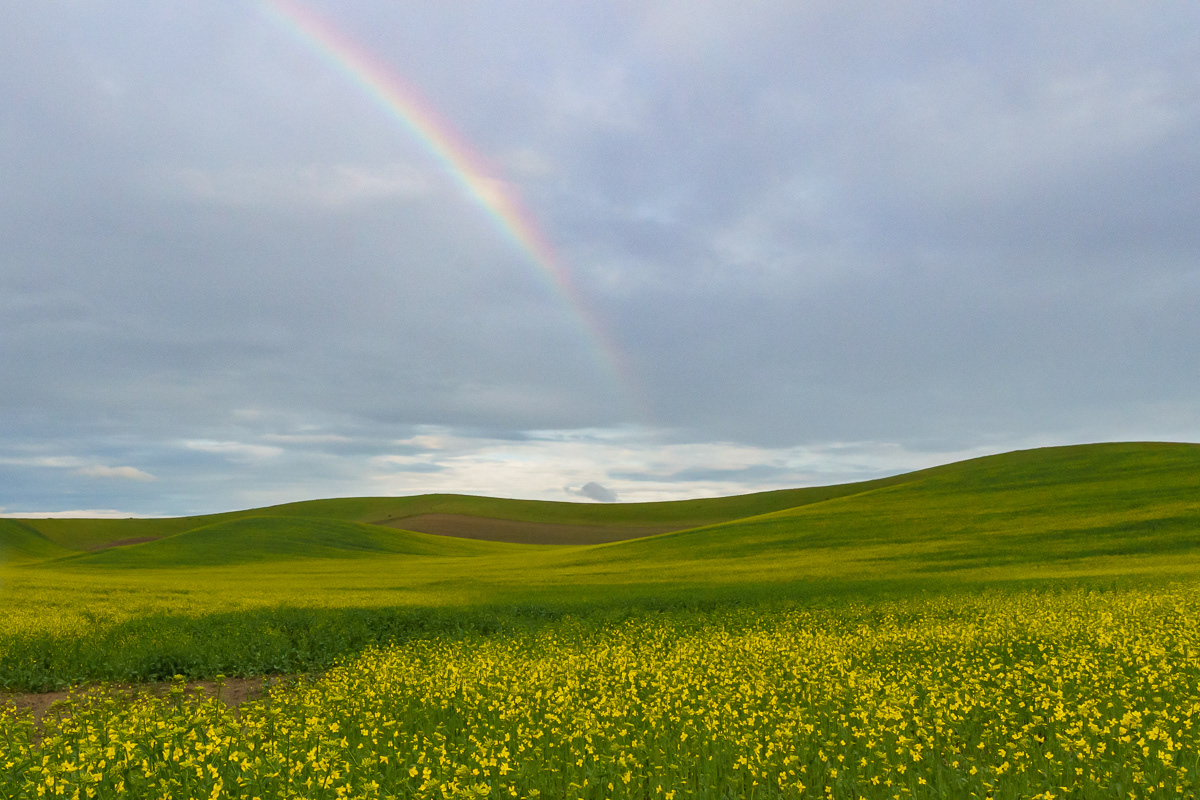 Pot of Gold, Palouse, WA