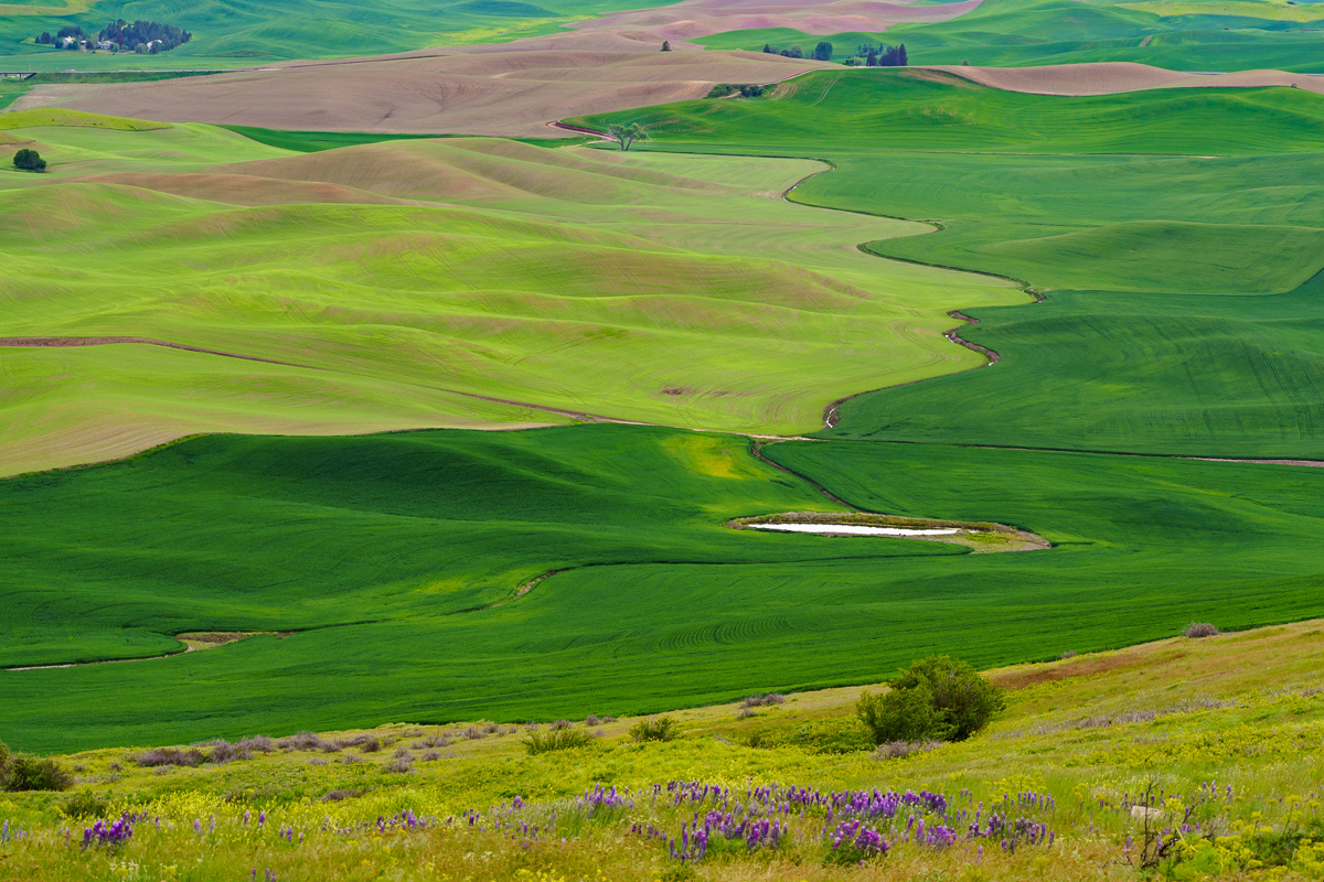 Palouse Farms, WA