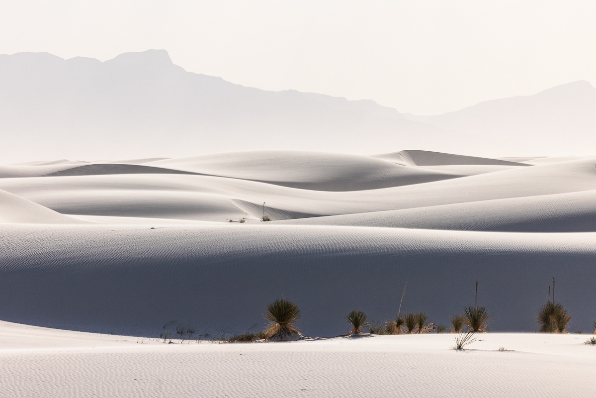 Stillness, White Sands NP, NM