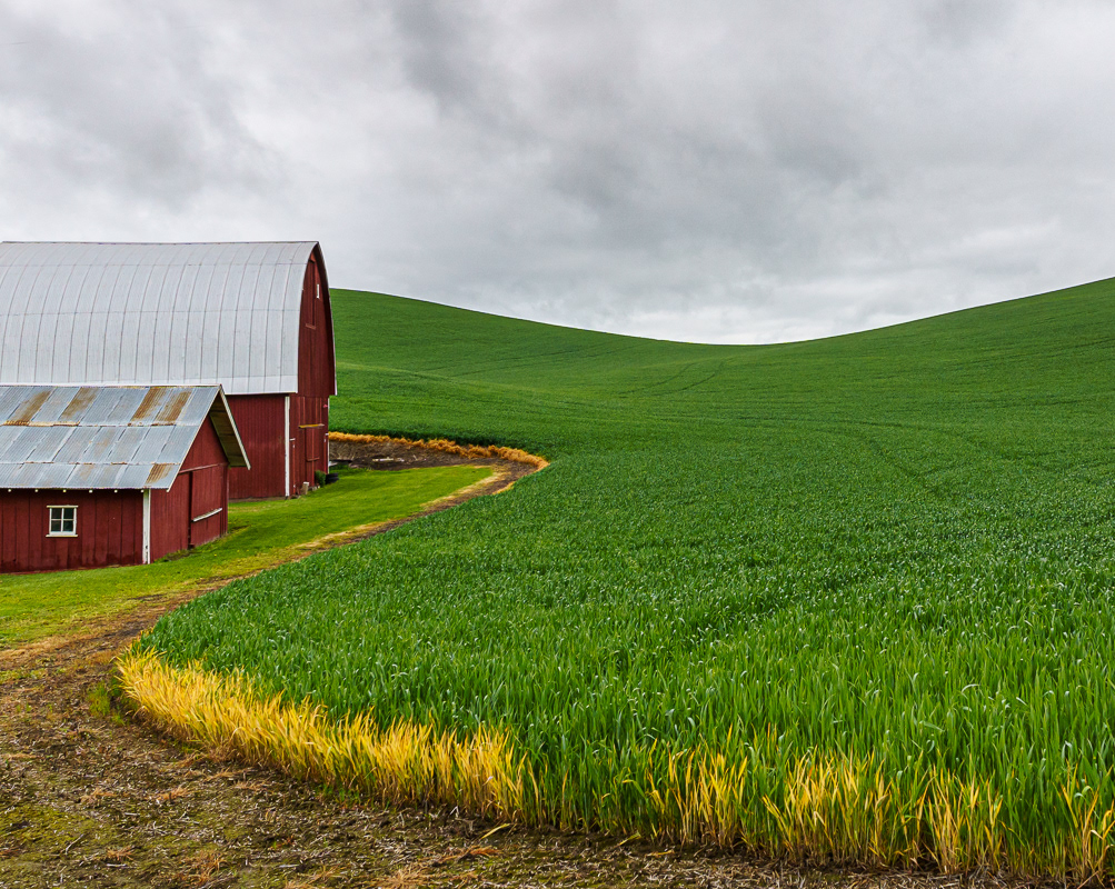 Red Barn, Palouse, WA