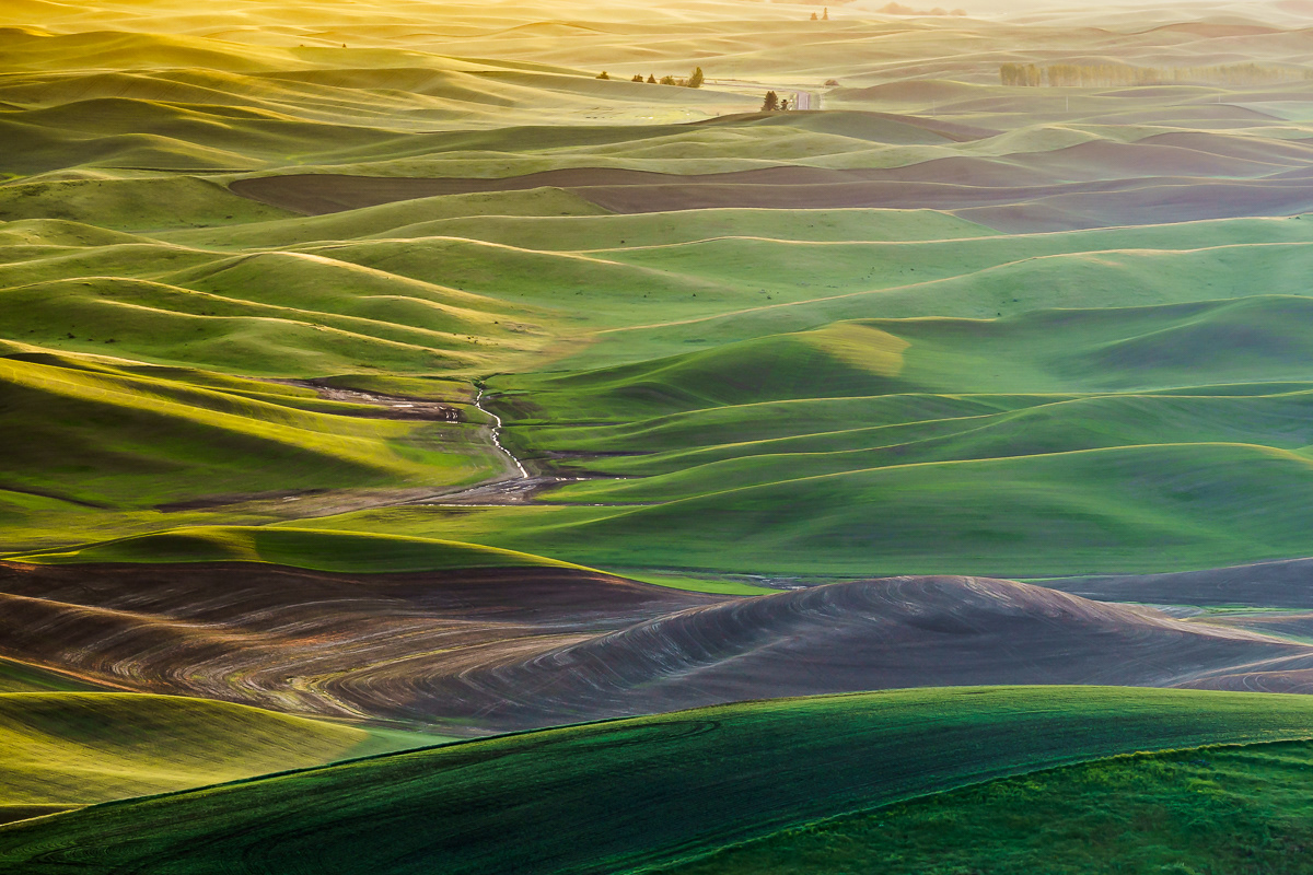 Sunrise in Palouse, WA