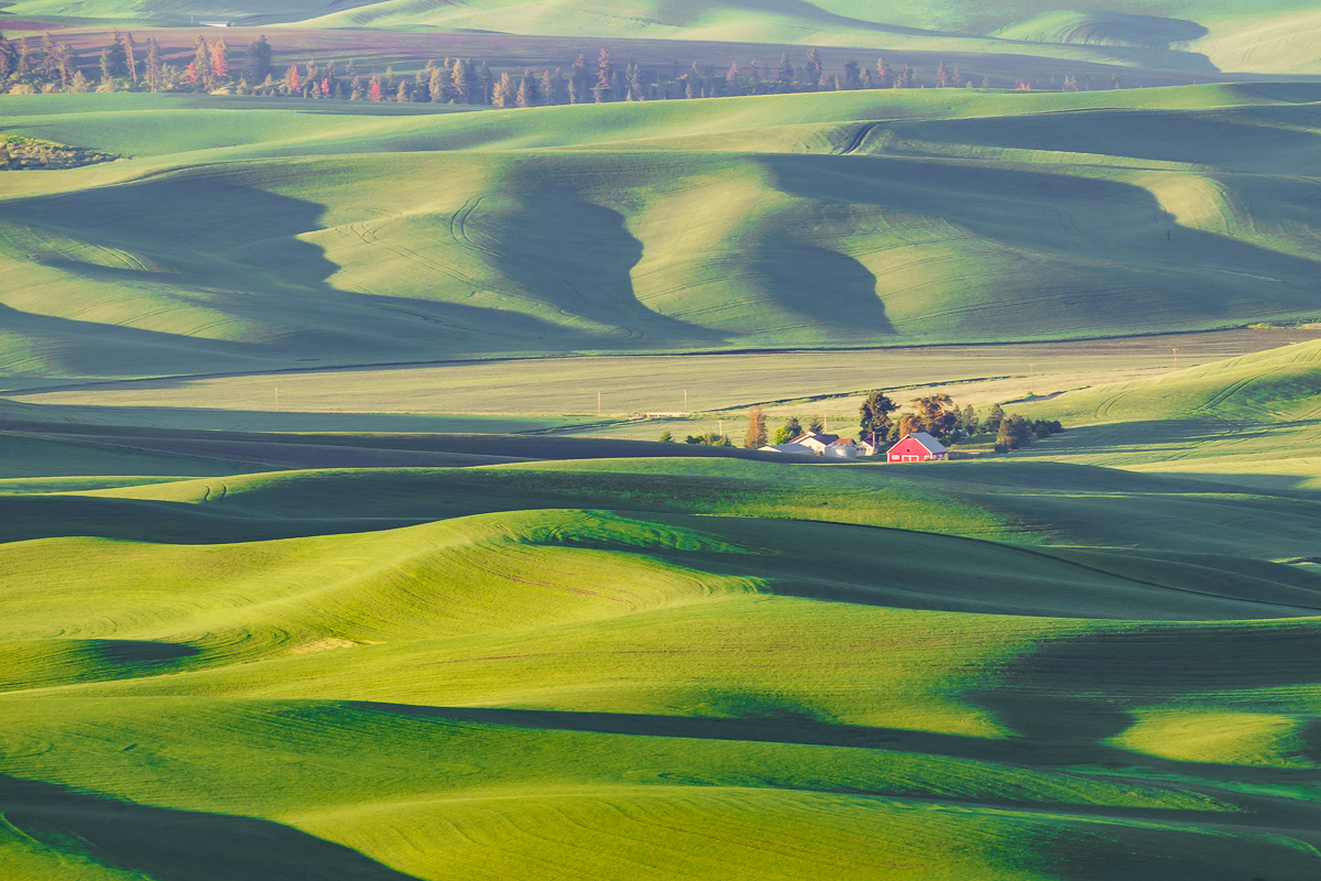 Sunrise in Palouse, WA