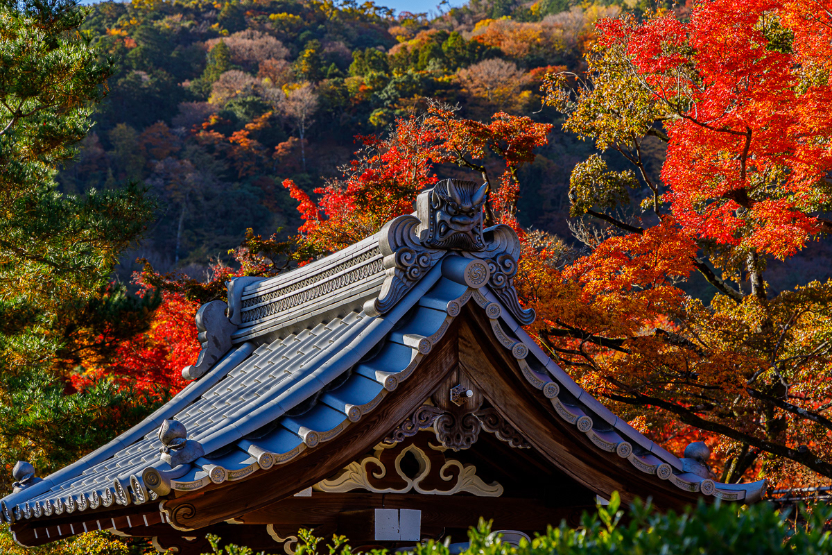 Arashiyama