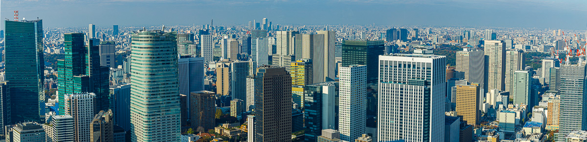 Tokyo Skyline