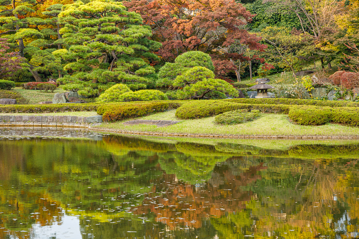 Fall in Zen Garden