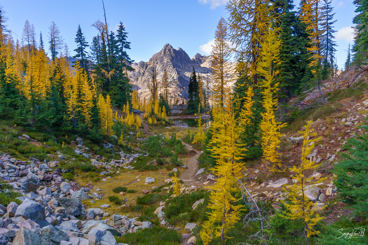 North Cascade State Park