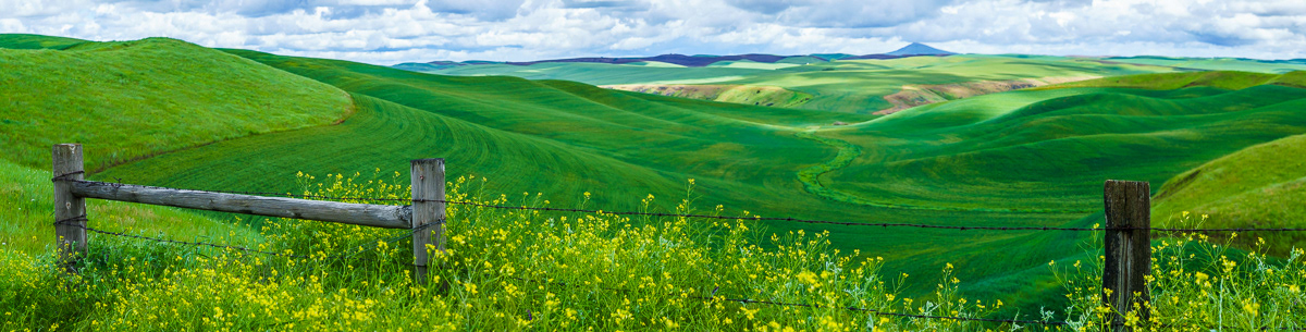 On the Fence, Palouse, WA