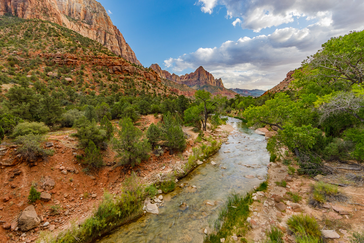 Sunrise at Watchman, Zion NP